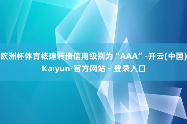 欧洲杯体育核建转债信用级别为“AAA”-开云(中国)Kaiyun·官方网站 - 登录入口